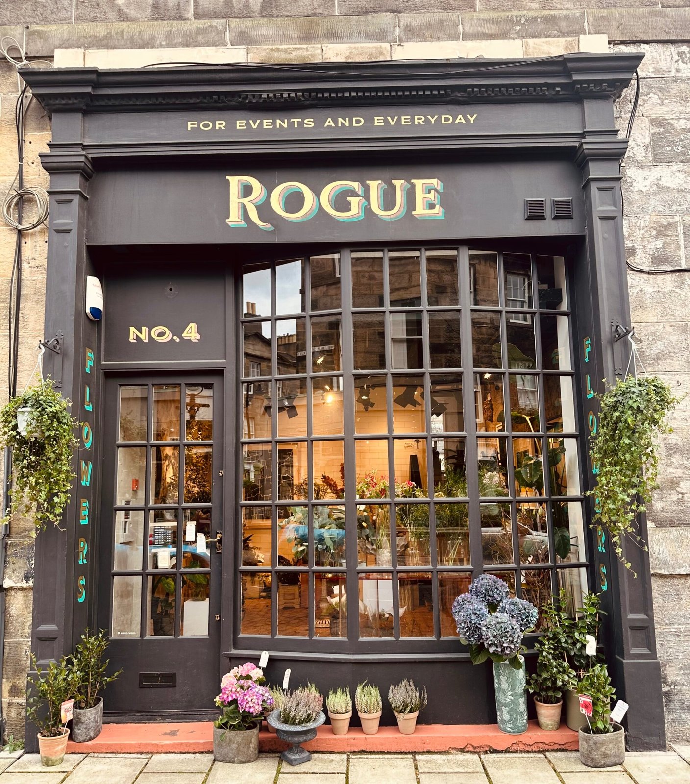 The Whole Venue at Rogue