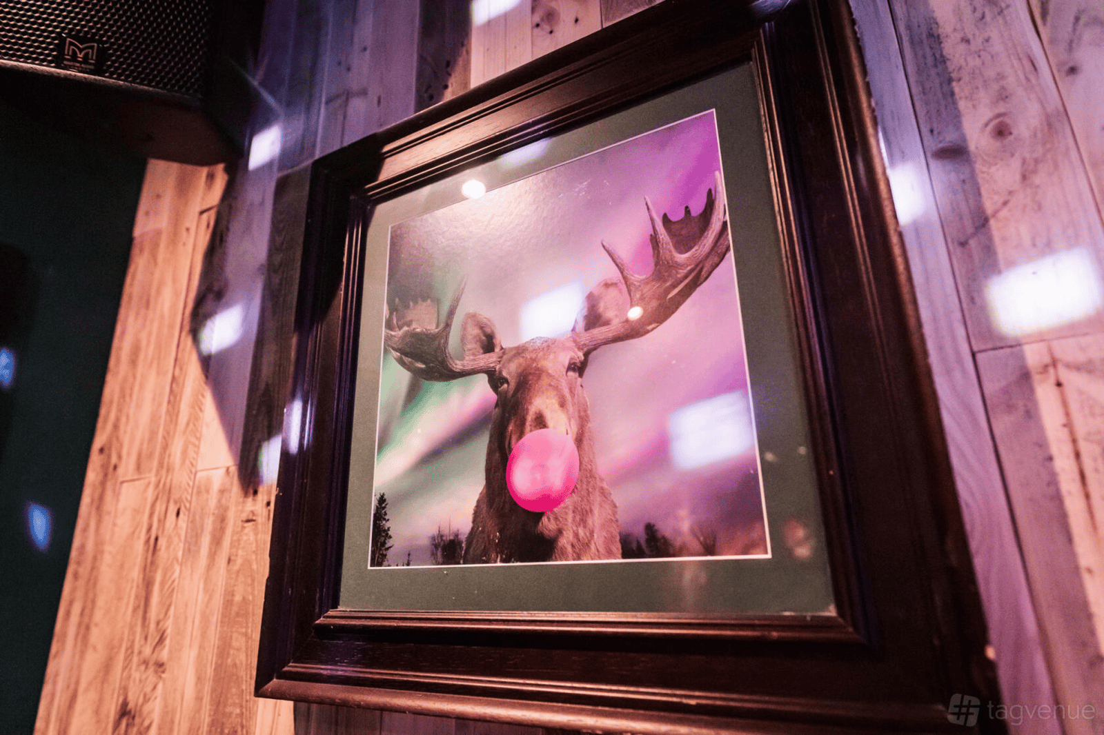 Nordic Bar  in Fitzrovia