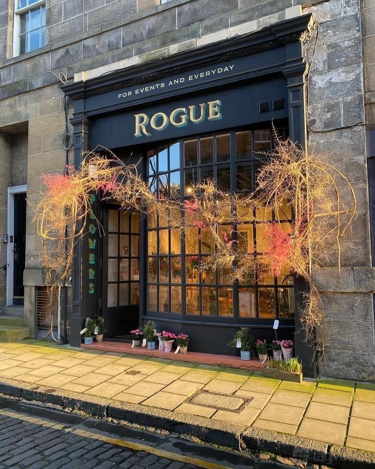 Rogue in West End