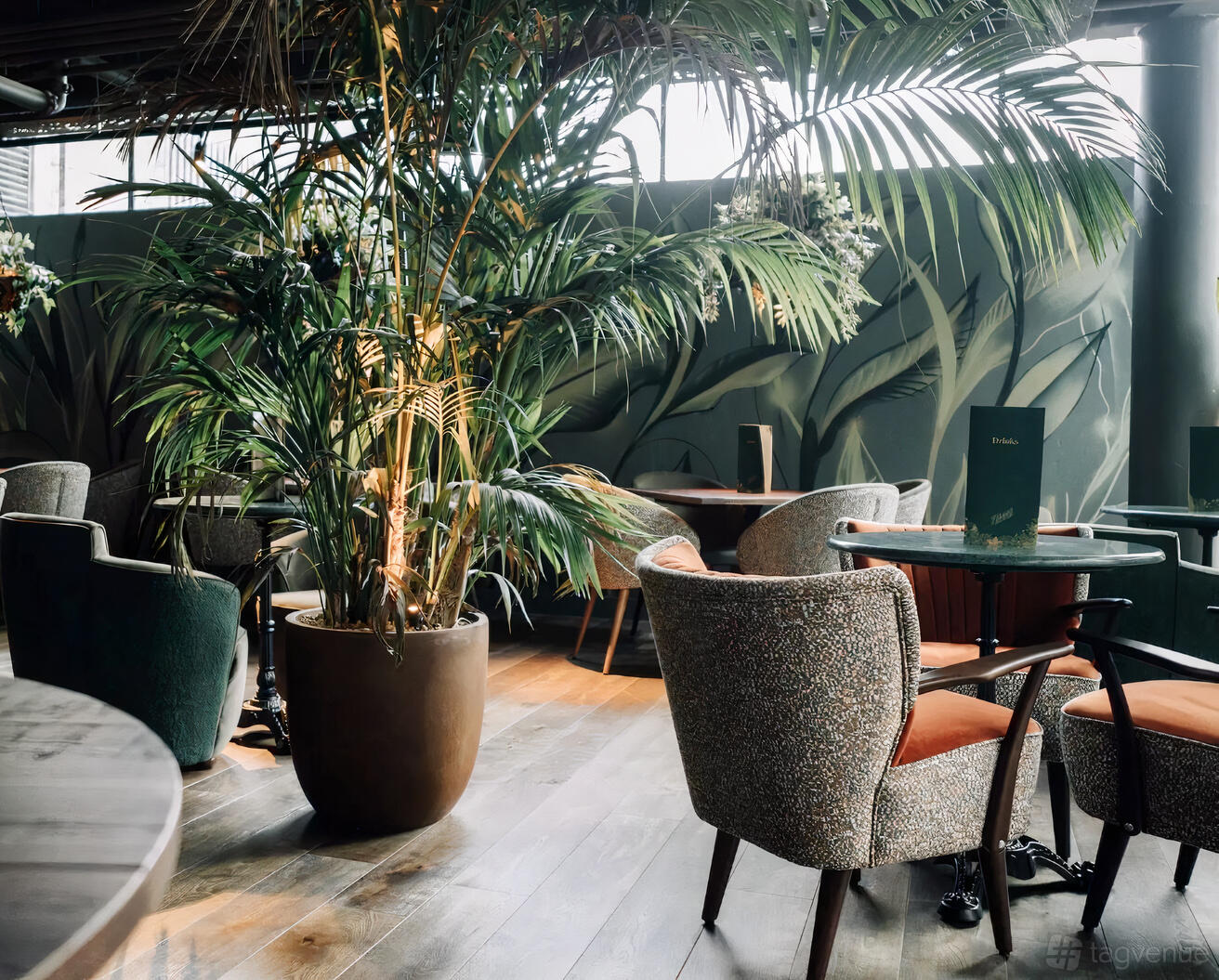 The Botanist  in New Town